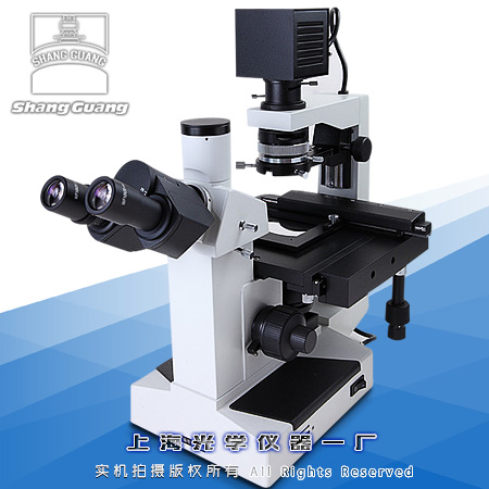 37XC倒置生物顯微鏡