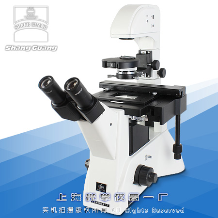 37XF倒置生物顯微鏡